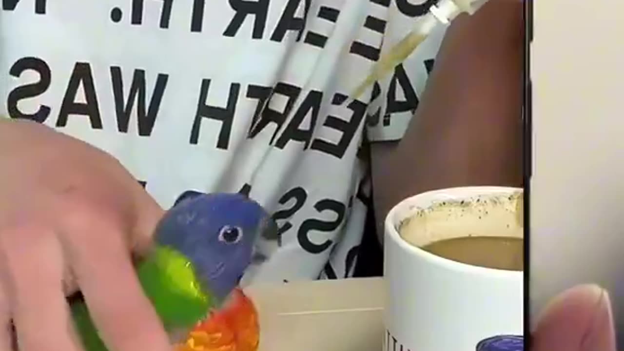 Parrot brings all its friends after recovery. 😂