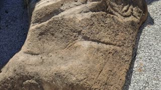 Ancient Anchor Stones of South Florida