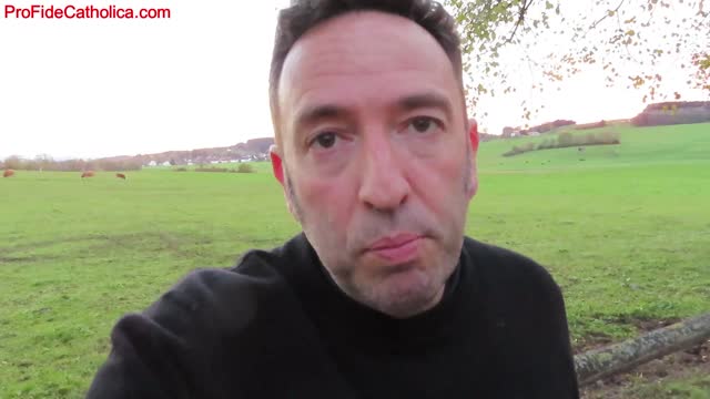La surmortalité européenne et la vaccination