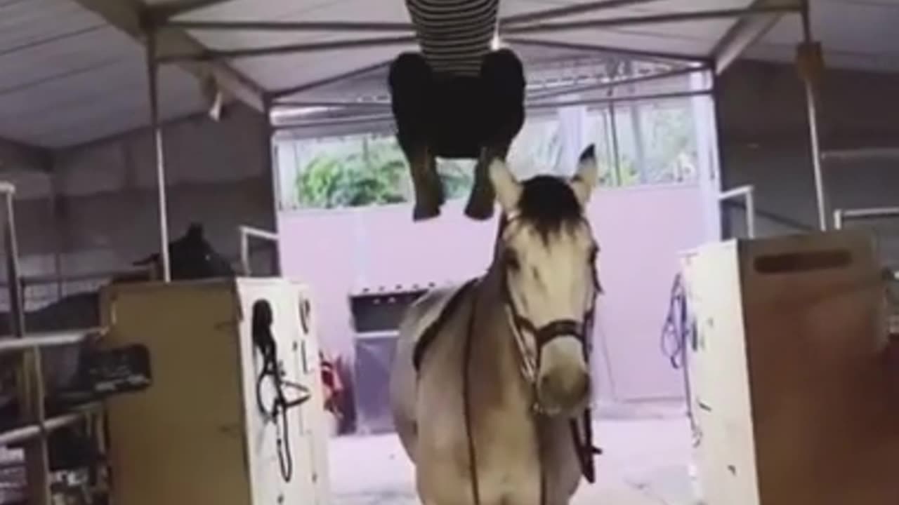 Smart horse move