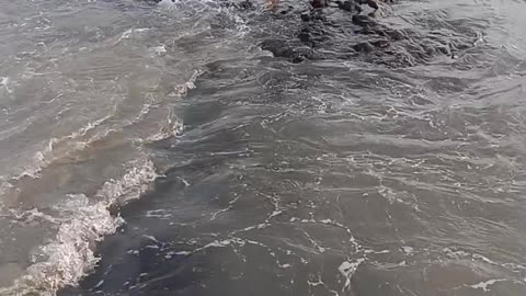 Sea water mast