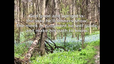 Psalm 25 Vs 8-14 Tune Narenza