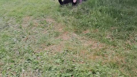 Probably has a headache