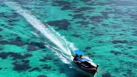 Relaxation video
