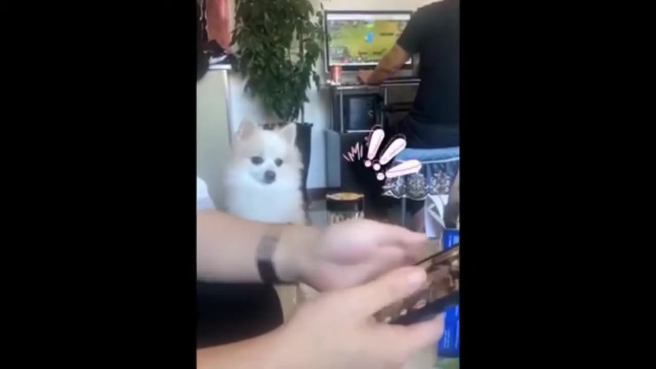 Try not to laugh 😂 part 9