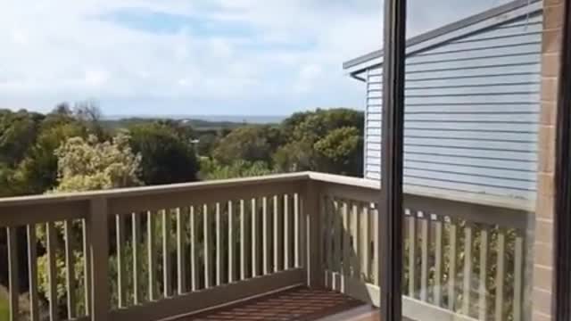 ❗Privilegien sind KEINE Freiheiten❗