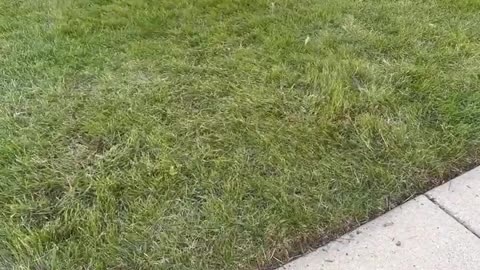 If Cleaning Was a Timed Sport. Part 2