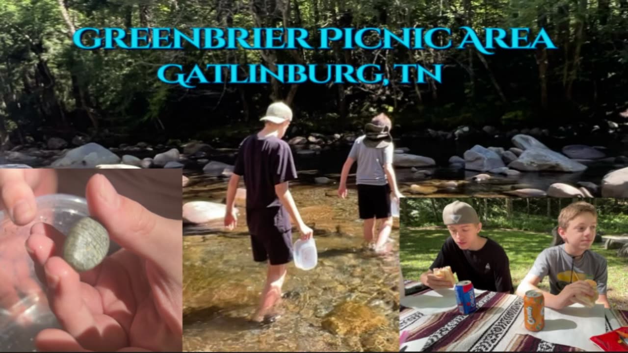 Greenbrier Picnic Area! Hidden Gem Gatlinburg, TN