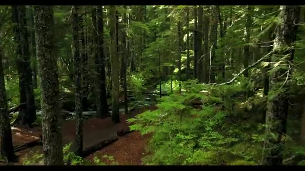 Relaxing Music | Sleeping, Meditation, Stress Relief | [7899] ⭐️