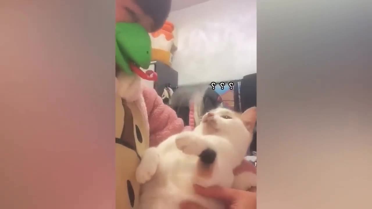 Funniest Animals 2023😂 Funny Dogs and Cats Videos 🐱🐶