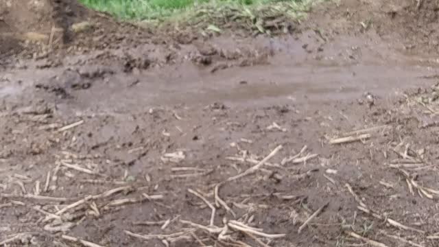 Mud bog