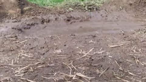 Mud bog