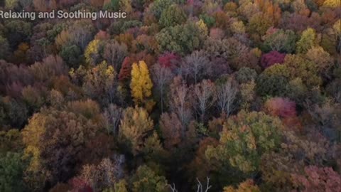 Relaxing Music | Sleeping, Meditation, Stress Relief | [6732] ⭐️