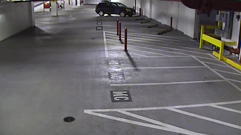 6120RHOBG2G204ALobby4Entrance_2021-01-05_04h40min02s360ms.mp4