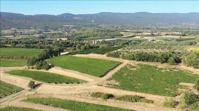 vineyards aerial view with mountains in background france vaucluse apt roussillon sunny day