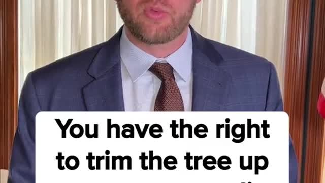 Is it legal to trim your neighbors tree?