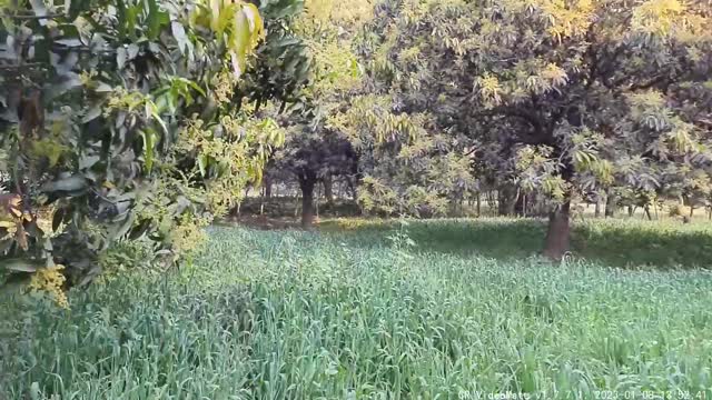 MY First Vlog In Village #myfirstvlog #myfirstvlog #support #viral #youtube #village #villagelife❤️