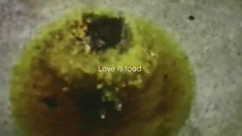 indian pakoda kadi