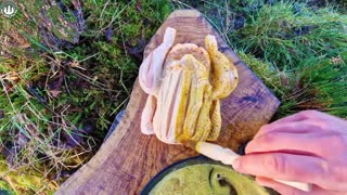 Whole CHICKEN cooked outdoors 🔥🍗(ASMR cooking, Relaxing Sounds, Camping, 4K)