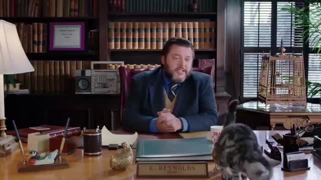 Ep.2 Our Diverse Breeds of Kitten Students _ Kitten Kollege_2