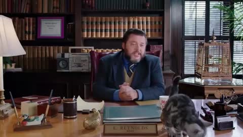 Ep.2 Our Diverse Breeds of Kitten Students _ Kitten Kollege_2