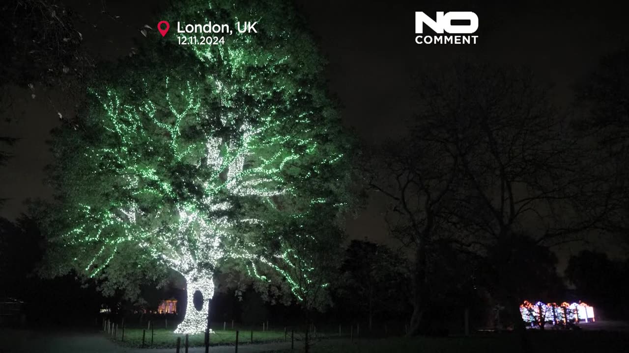NO COMMENT: El Real Jardín Botánico de Kew se ilumina por Navidad