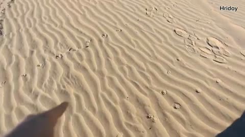 Experience a 24 hour stay in the desert