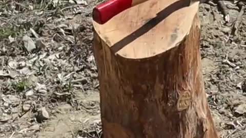 Roast a Whole Lamb Leg on a Tripod in an Outdoor Fire Pit