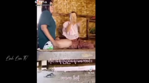 Funny animals