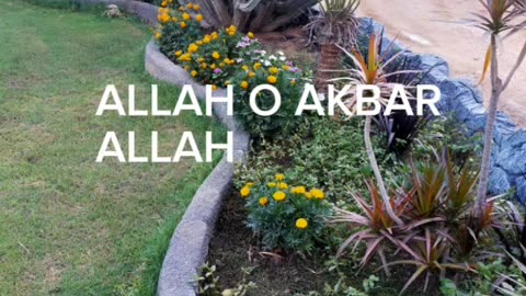 Hamd 2023| Beautiful hamd | Beautiful garden useshowing the creations of creator