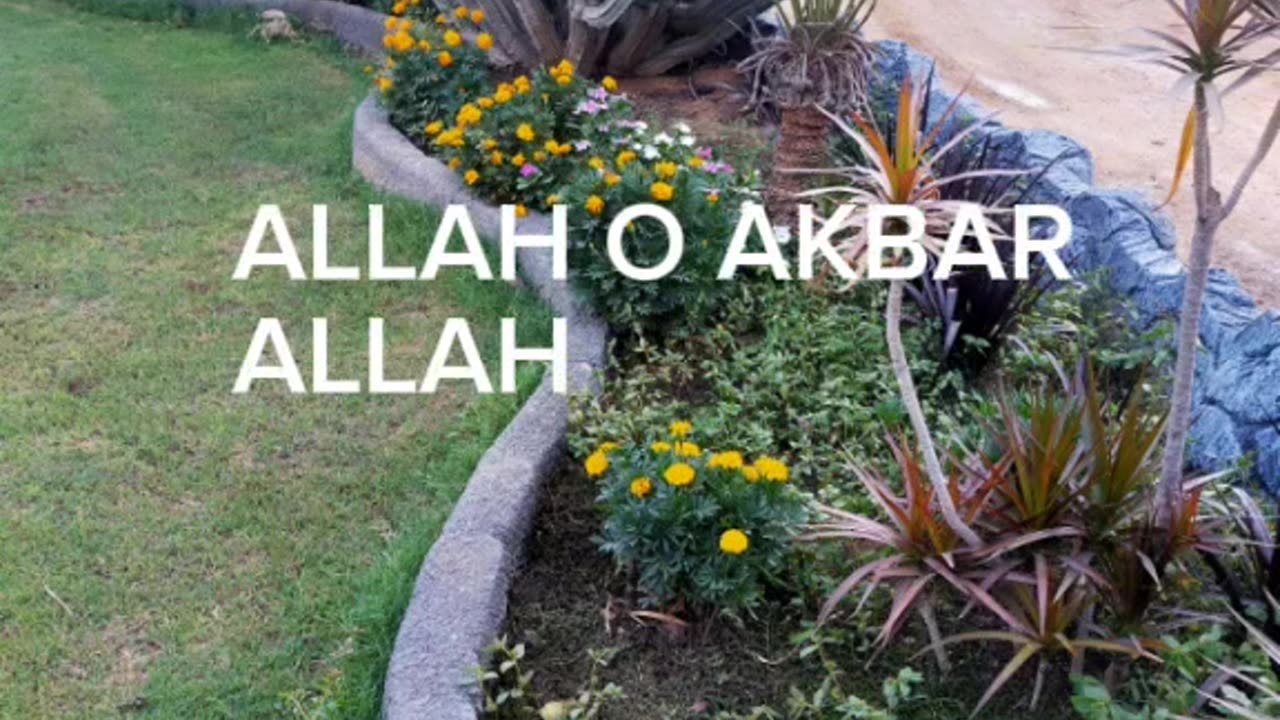 Hamd 2023| Beautiful hamd | Beautiful garden useshowing the creations of creator