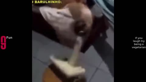TRY NOT TO LAUGH 😆 Best Funny Videos Compilation 😂😁😆