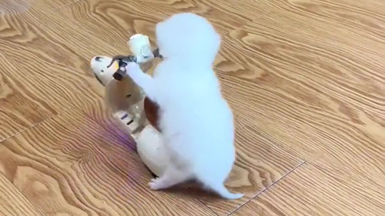 Cute