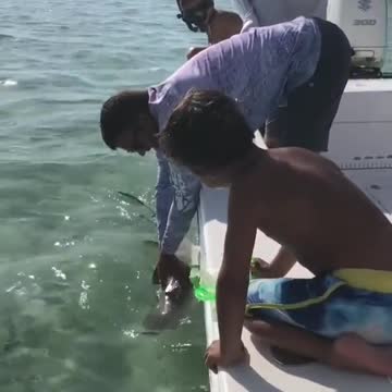Moron Loses His pinky finger To a Shark, That's Gotta Hurt