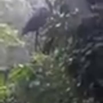 Frank I need your help PayPal.me/BartFine