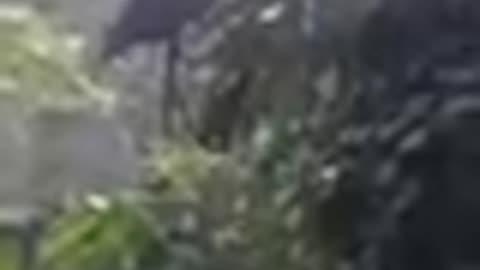 Frank I need your help PayPal.me/BartFine