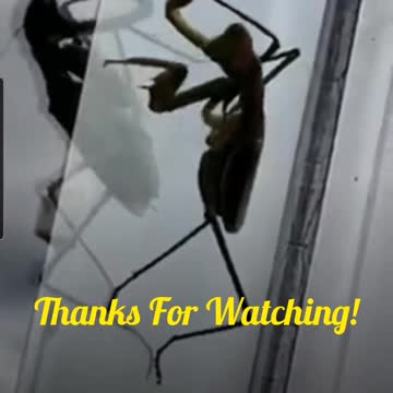 Praying For The Praying