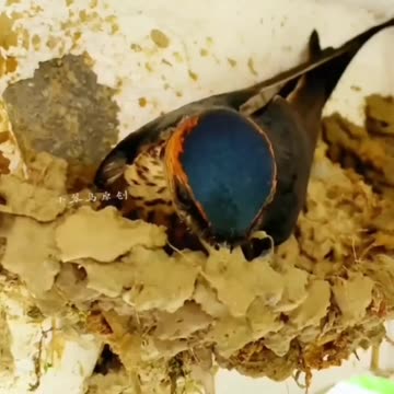 HOW TO LISTEN TO GOD - DAILY DEVOTIONAL ❤️