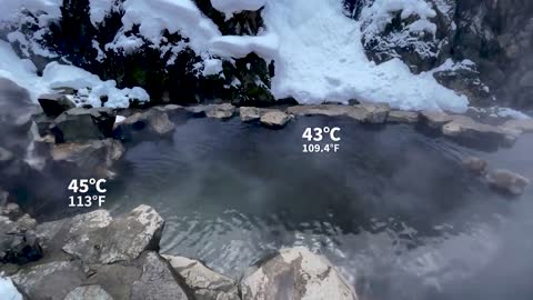 Japanese Snow Monkey Hot Spring Experience _ Nagano ★ ONLY in JAPAN