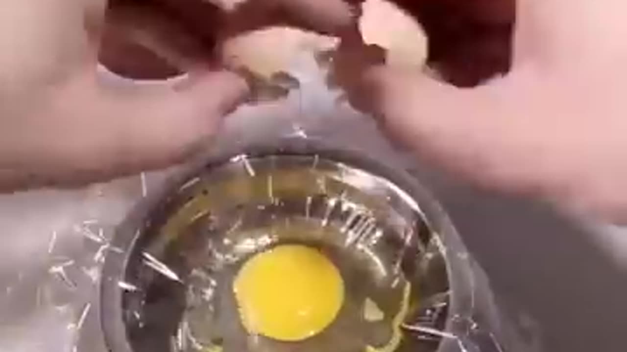 How a Chick is born from a Egg