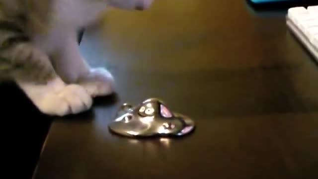 ネコ vs はぐれメタル