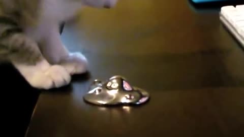 ネコ vs はぐれメタル