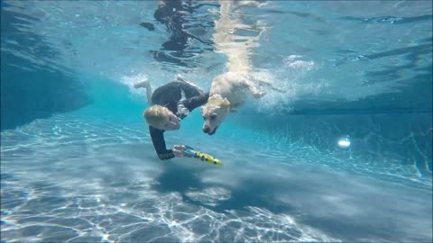 Labrador Retriever Keeper dives underwater with Mermaid Jana for her toypedo dog toy