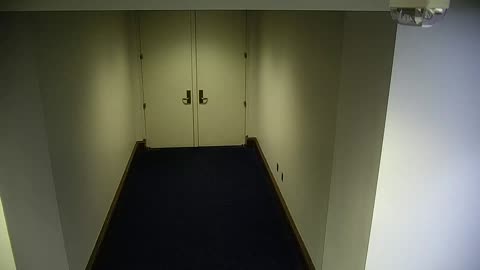 7049CVCLLHVC203Corridor_2021-01-05_00h20min00s277ms.mp4