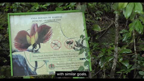 Tanah Papua: A Paradise for Birds