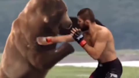 When Khabib fight with bear