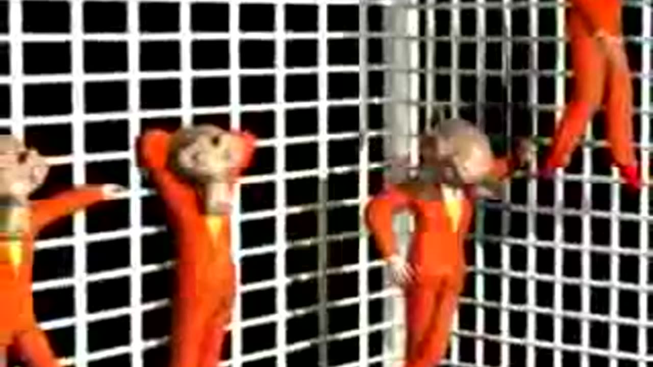 The Monkey Experiment