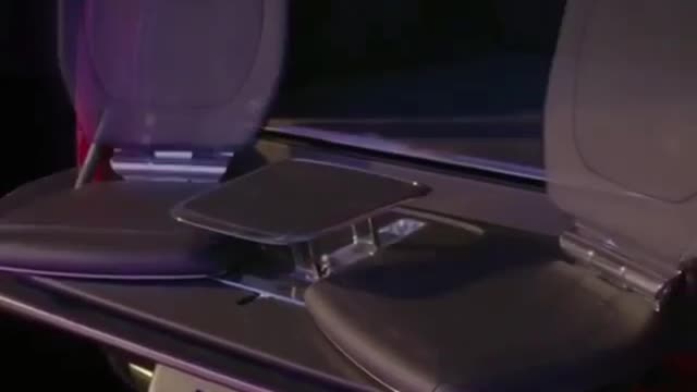 There is a set of humanized tables and chairs hidden behind the trunk