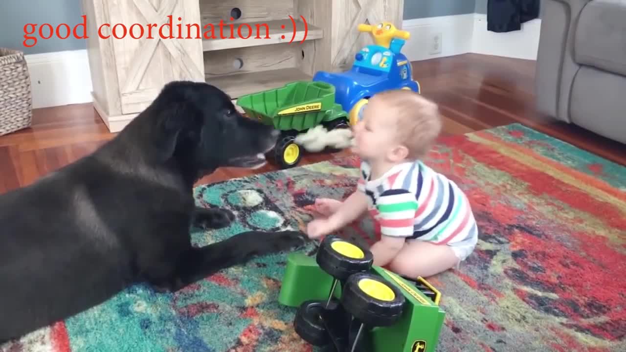 Cute Dogs and Babies are Best Friends Compilation (2)