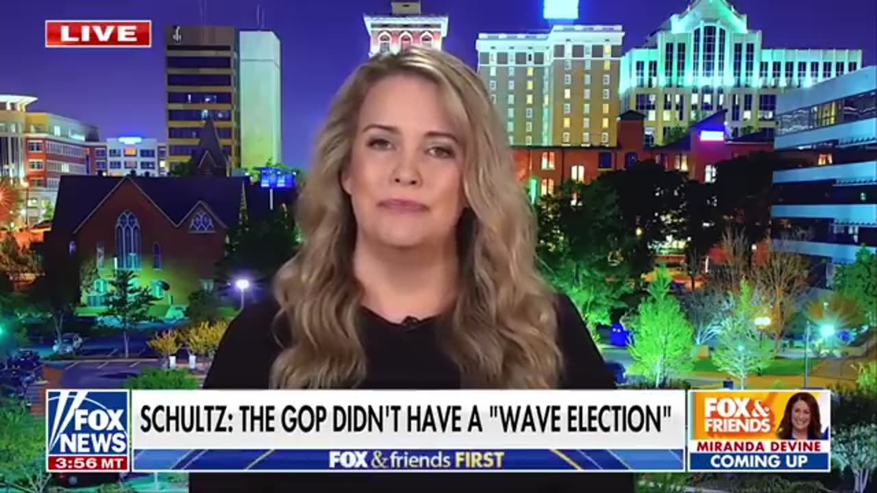 'NOT BUYING' IT_ Democrat called out over outlandish election loss claim